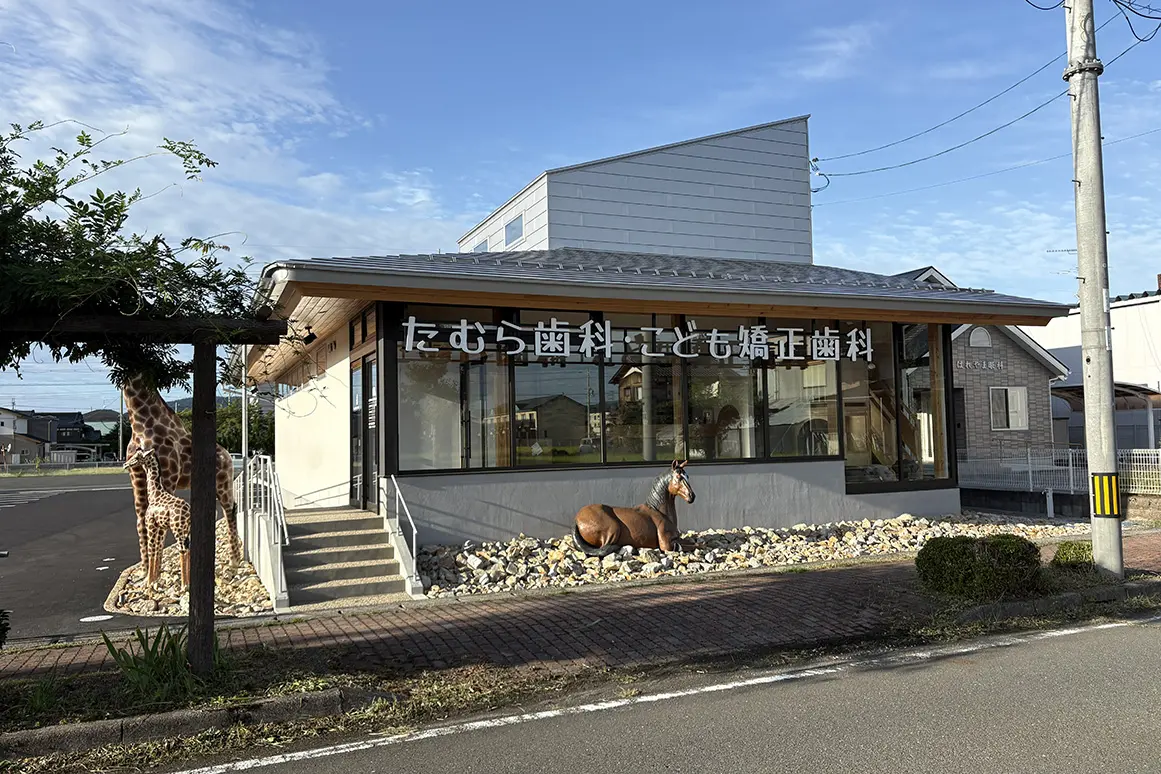 歯科